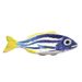 petisqueira-peixe-azul-pesce-big-2